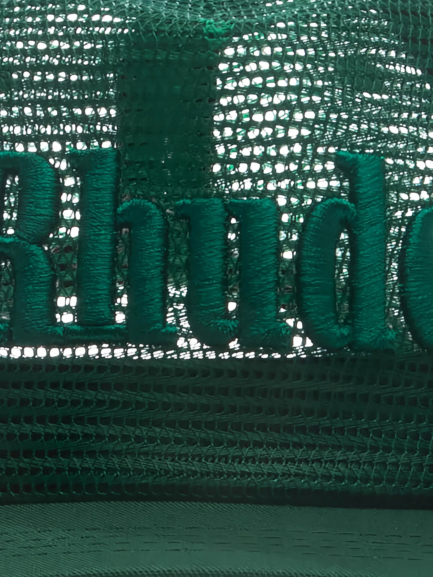 logo mesh hat