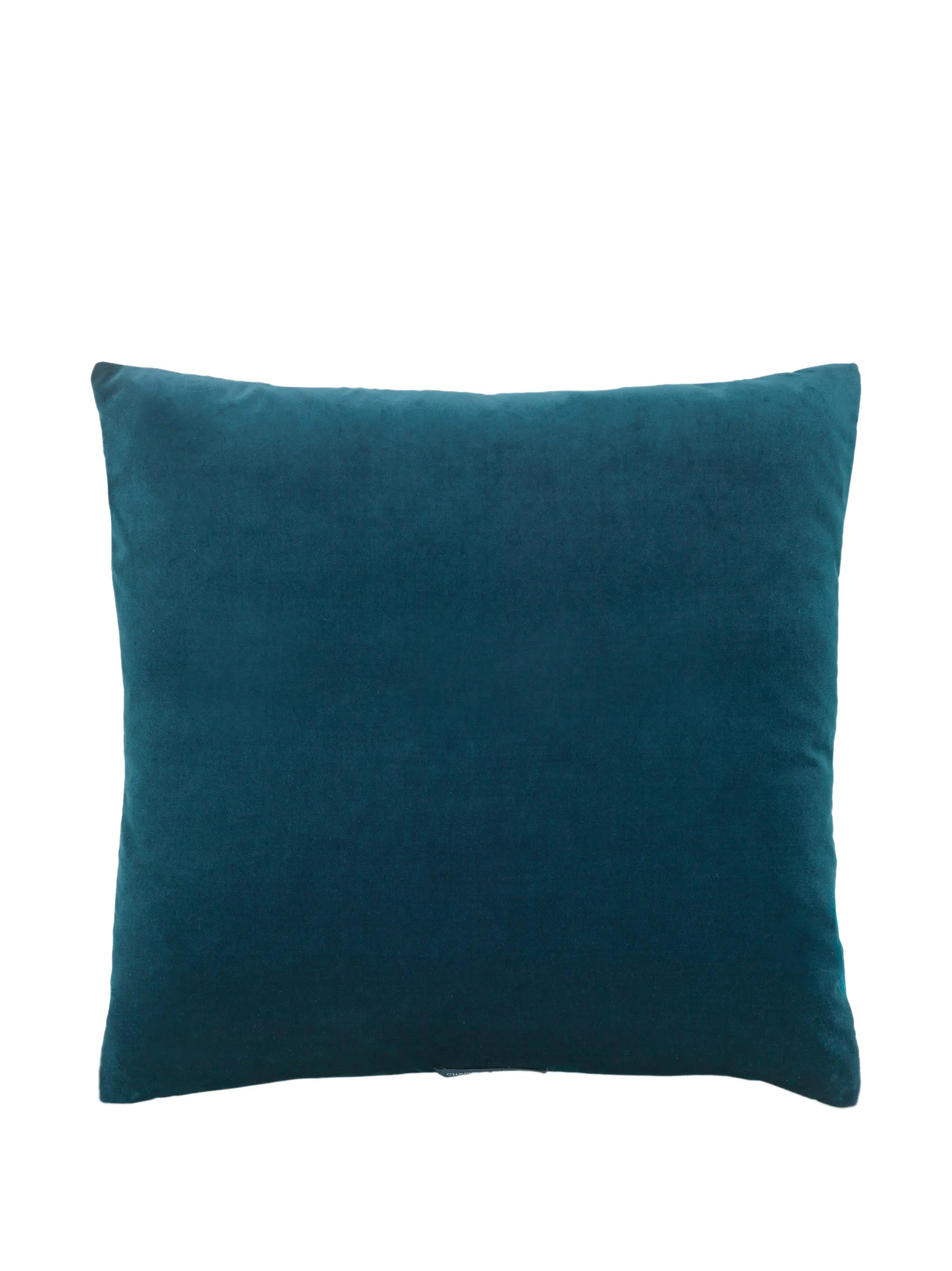 Hennie velvet cushion
