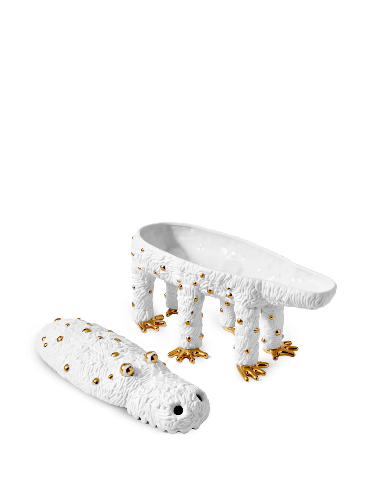 x Haas Brothers Pedro the Croc box