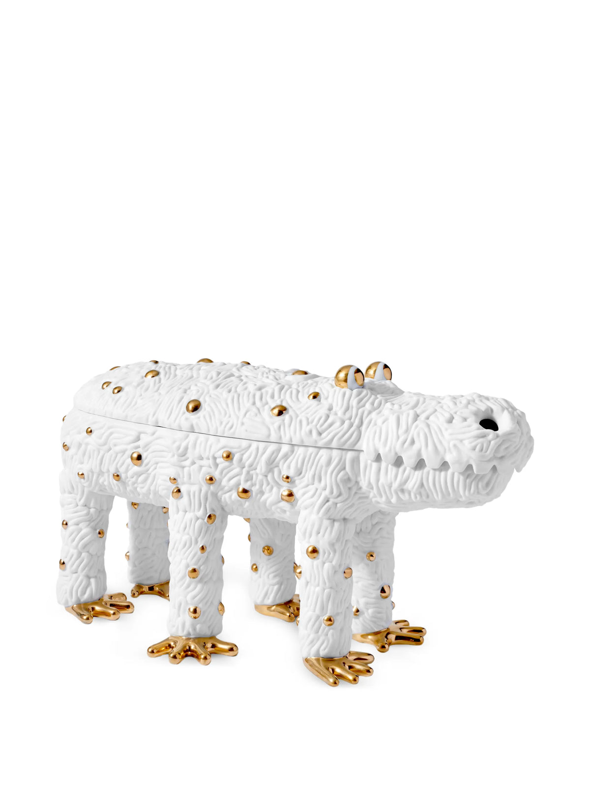 x Haas Brothers Pedro the Croc box