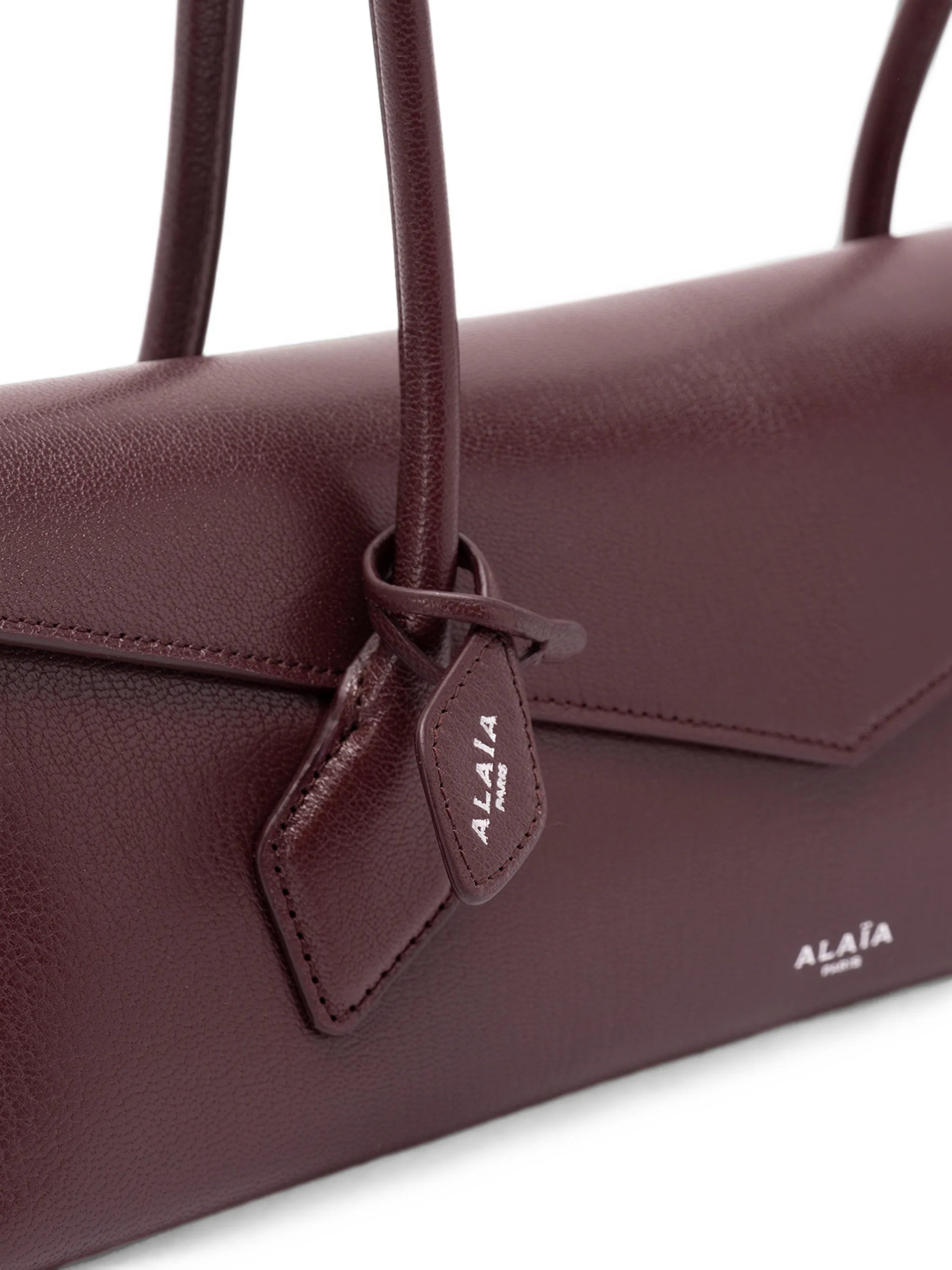 Medium Le Teckel Flap shoulder bag